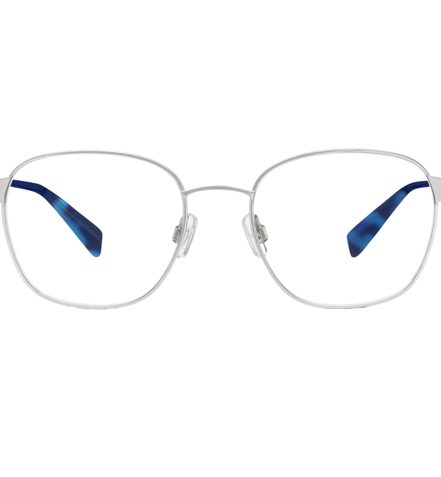 Nesbit Eyeglasses In Jet Silver For Men